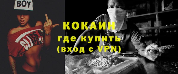 стаф Бородино