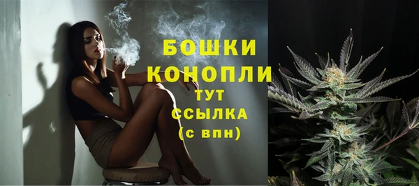 стаф Бородино