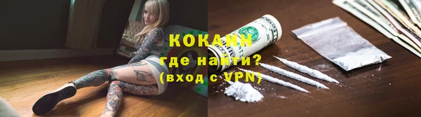 сатива Бронницы