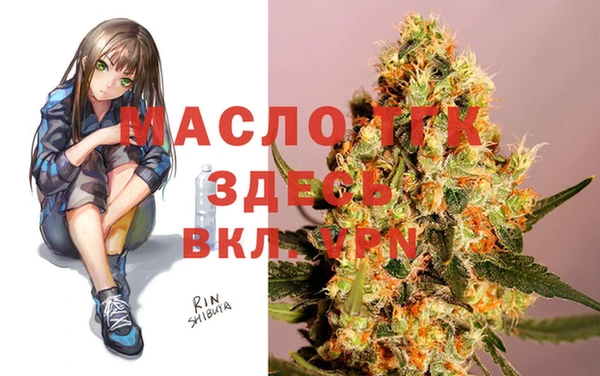 сатива Бронницы
