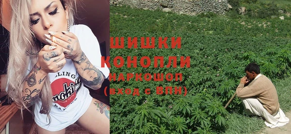 стаф Бородино