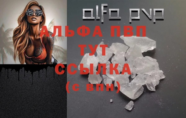 сатива Бронницы