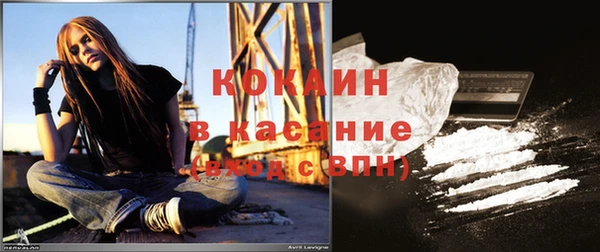 сатива Бронницы
