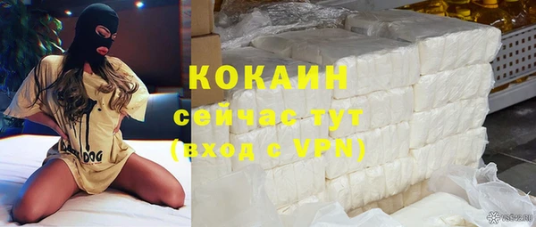 сатива Бронницы