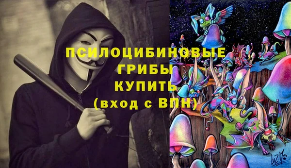 стаф Бородино